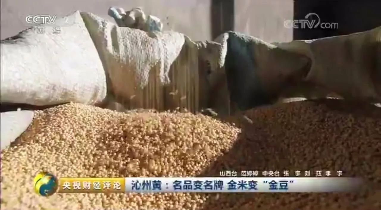 中央電視臺?走進沁州牌沁州黃小米，“金豆子”如何煉成？