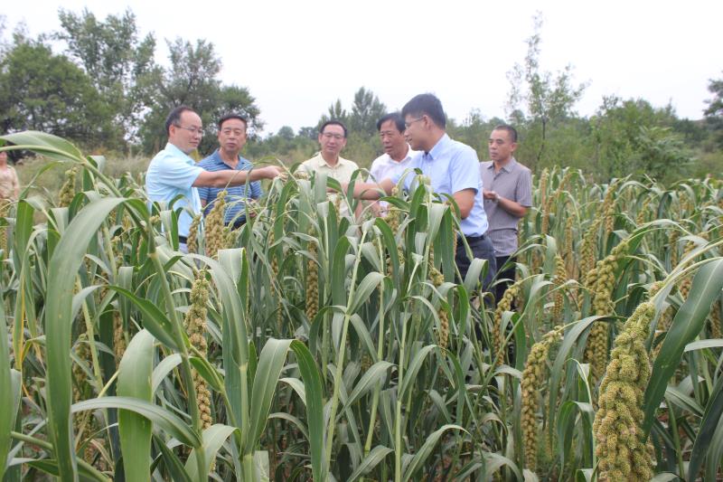 農業部綠色、有機食品檢查組 蒞臨我公司檢查工作