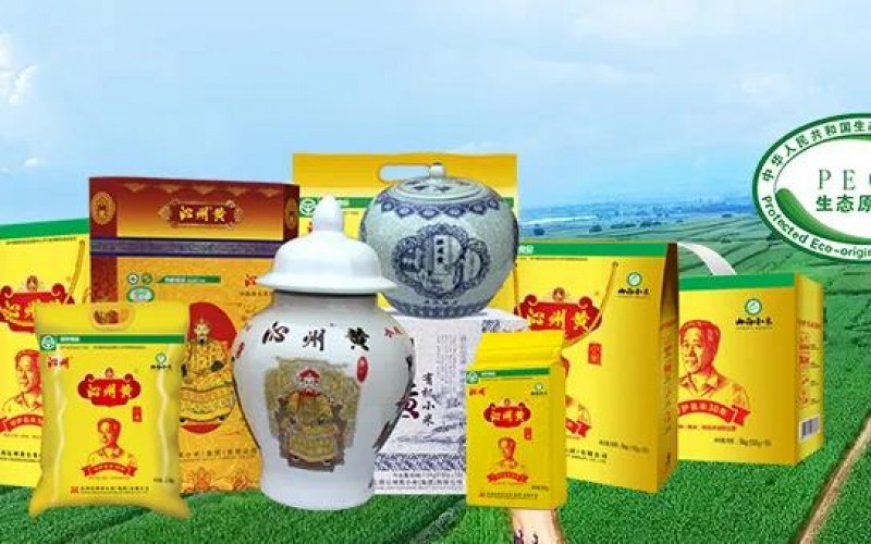 山西小米哪里產(chǎn)的好，山西小米選沁州牌沁州黃